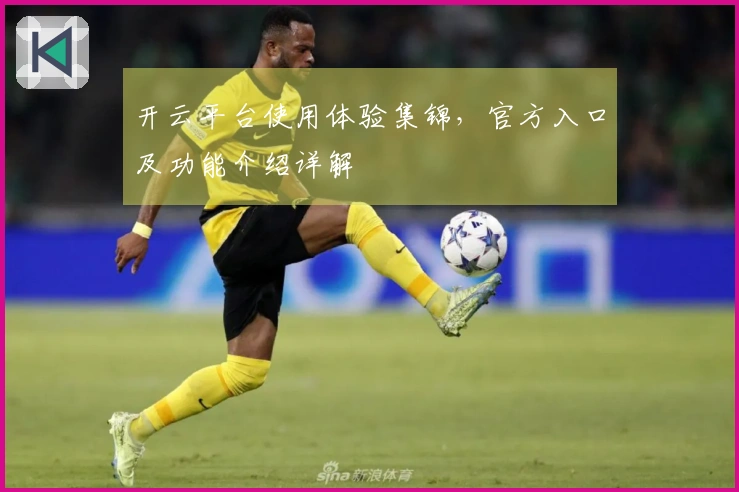 开云平台使用体验集锦，官方入口及功能介绍详解