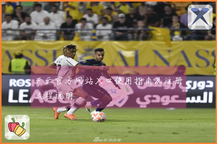 开云官方网站入口使用指南及注册流程说明